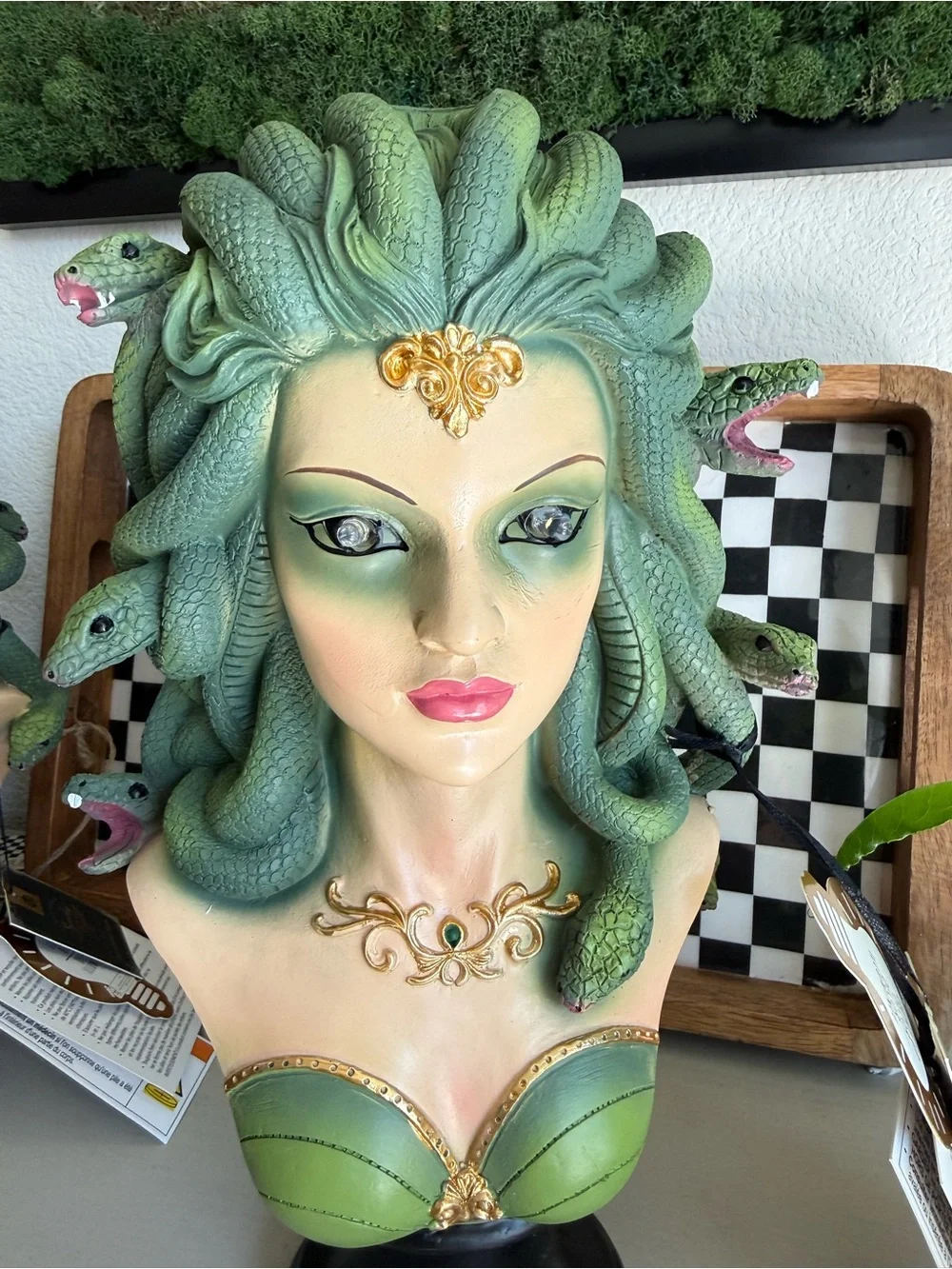 N/A painted medusa